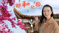3月看樱花还去挤昆明圆通山？来昆阳郑和公园，免费粉色花海