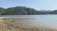 露营体验，大连西郊国家森林公园（盛达花卉附近）