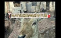 游徐州市彭祖园内动物园