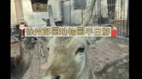 游徐州市彭祖园内动物园
