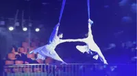 在哈尔滨东北虎林园看的马戏表演，好美