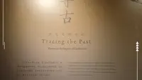 寻花记 | 广东省博物馆