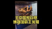 恐龙爱好者打卡地！北京国家自然博物馆霸王龙展