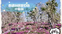南通洲际梦幻岛一日游