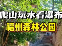 福州的千年古榕居然藏在国家森林公园，一起来逛逛吧