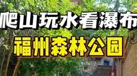 福州的千年古榕居然藏在国家森林公园，一起来逛逛吧