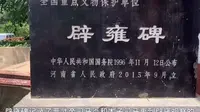 看看神马拓片价值6500元1700年前的晋代辟雍碑