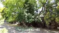 涿州清代行宫，京南唯一的行宫遗存