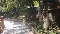 八大处公园#北京石景山#北京公园之旅#北京旅游