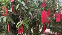 探访昌平区博物馆