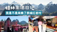 我是不是来晚了，恭城红岩村，说好的红彤彤大片大片柿子呢
