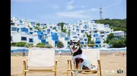 「那伊」Vlog.2026.07.04｜带小狗去看海｜岱山蓝白小镇