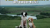 Vlog61｜在黑山头等了一小时也没看到的日落