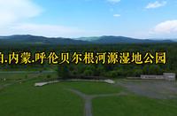 航拍.内蒙.呼伦贝尔根河源国家湿地公园