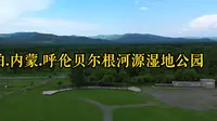 航拍.内蒙.呼伦贝尔根河源国家湿地公园