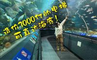 造价3000亿的电梯可直达海底！？上海海洋水族馆全纪录！！！