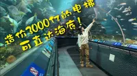造价3000亿的电梯可直达海底！？上海海洋水族馆全纪录！！！