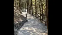 出去吹风-山东济宁嘉祥县青山风景区