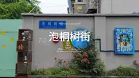 成都少城泡桐树街