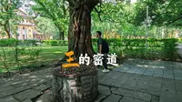 据说靖江王城有一条密道……