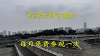西安大明宫遗址公园能免费参观，第一次进入看看，听说这里是唐代的文化中心