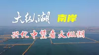 大纵湖南岸看大纵湖，兴化、盐都各属一半，南岸旅游开发正起步