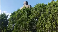 湖南张家界：贺龙公园