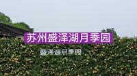 26.05.23江苏苏州盛泽湖月季园