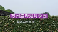 26.05.23江苏苏州盛泽湖月季园