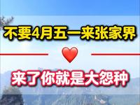 千万别在四月份，五一假期的时候来张家界，不然真的会当大冤种，网上好多攻略，都是外地写给外地人的#张家界旅游攻略 #湖南张家界 #张家界天门山 #张家界旅行
