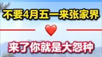 千万别在四月份，五一假期的时候来张家界，不然真的会当大冤种，网上好多攻略，都是外地写给外地人的#张家界旅游攻略 #湖南张家界 #张家界天门山 #张家界旅行