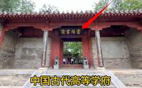 中国四大书院之一，嵩阳书院，栽种4500多年的将军柏！