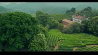 梅州雁南飞--梅州五A景区，广东旅游首选，设备：索尼a6500，适马18-50，适马16,大疆mini，大彊Pocket