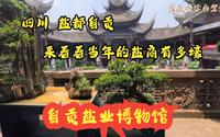 古代的盐商能有多壕！四川盐都自贡，盐业博物馆，西秦会馆