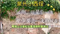 泉州小西埕