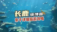 佛山长鹿详细攻略｜一日游线路