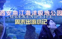 volg2023001｜曲江海洋极地公园一日游｜周末情侣 朋友 亲子 家人出游好去处｜无声 视觉盛宴｜