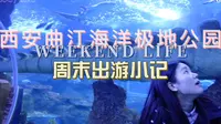 volg2023001｜曲江海洋极地公园一日游｜周末情侣 朋友 亲子 家人出游好去处｜无声 视觉盛宴｜