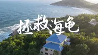 【微纪录片】在国家级海龟自然保护区拯救小海龟
