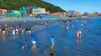 陆丰市金厢滩