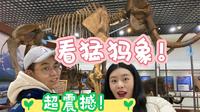 【青冈】｜哈尔滨自驾游 青冈｜来看猛犸象和披毛犀｜古生物化石博物馆｜ 东北口音自带笑点｜远古文明的对话｜守护我们的家园｜本期两个视频：完整版 or专门解读猛犸象