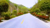 带上爱的人来趟镇安木王山！