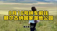 一个人呼伦贝尔自由行，额尔古纳国家湿地公园，根河风光秀丽壮美