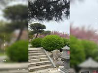 山东莱芜雪野湖#雪野湖旅游区