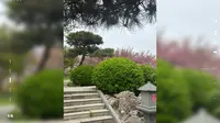 山东莱芜雪野湖#雪野湖旅游区