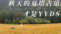 秋天的夏塔古道才是YYDS，景区徒步全攻略