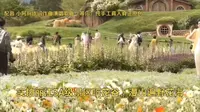 实拍丽江3A级景区听花谷，漫山遍野的花海