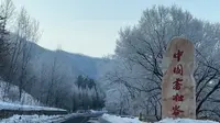 牡丹江雾凇谷