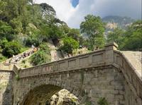 雨后泰山再现云步桥流云飞瀑美景，人在画中游，隐藏在大山深处的消夏避暑畅游之人间佳境！#泰山