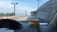 福建安溪清水岩朝拜游记